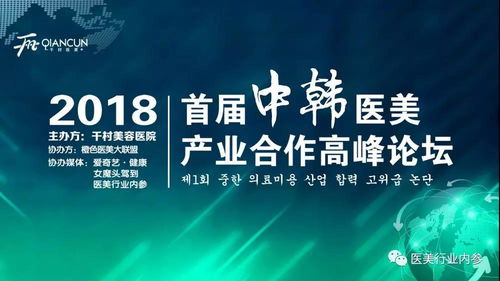 金政华院长在首届中韩高峰论坛上发言 新材料技术推广服务的新机遇与挑战