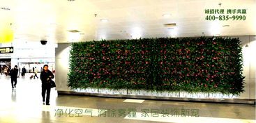 植彩坊加盟 以新材料技术引领家居装饰新潮流